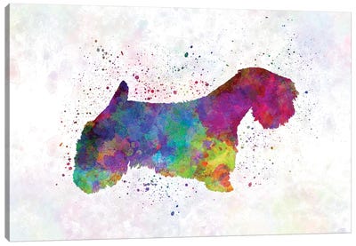 Sealyham Terrier In Watercolor Canvas Art Print