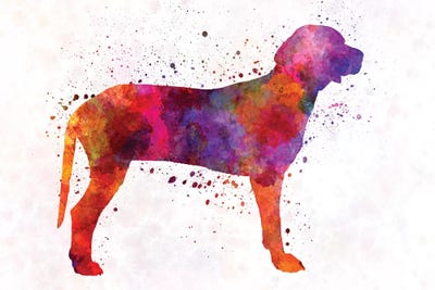 Serbian Hound In Watercolor by Paul Rommer acrylic art print