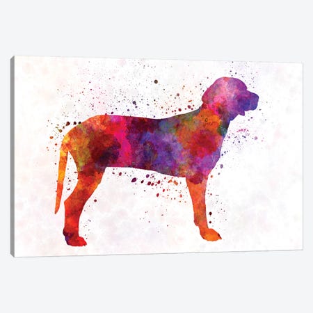 Serbian Hound In Watercolor Canvas Print #PUR649} by Paul Rommer Canvas Artwork