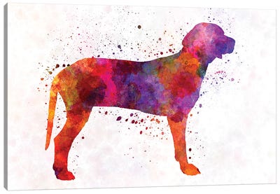Serbian Hound In Watercolor Canvas Art Print