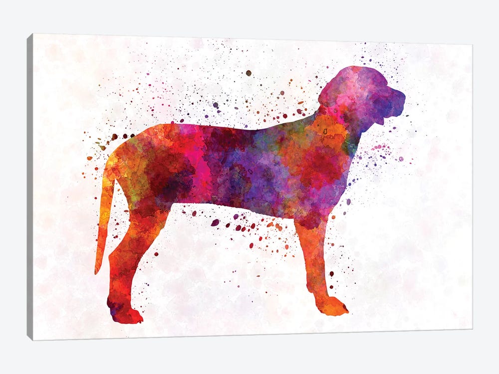 Serbian Hound In Watercolor by Paul Rommer 1-piece Canvas Artwork