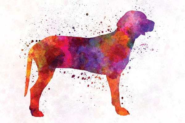 Hounds: Serbian Hound In Watercolor by Paul Rommer