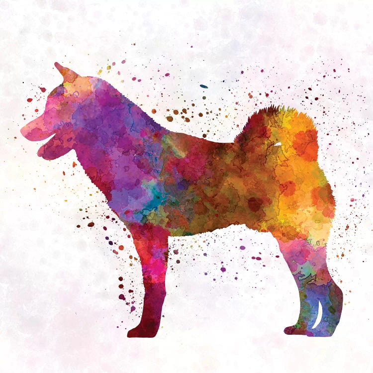 Shiba Inu In Watercolor by Paul Rommer wall art