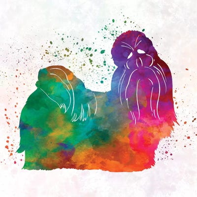 Shih Tzu In Watercolor by Paul Rommer canvas print