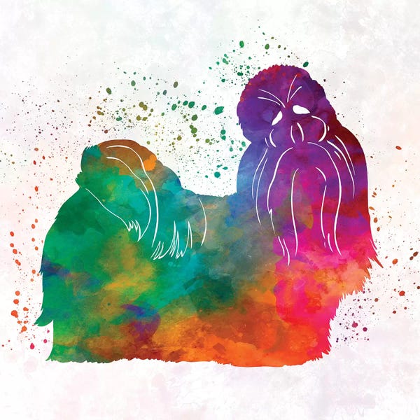 Shih Tzus: Shih Tzu In Watercolor by Paul Rommer