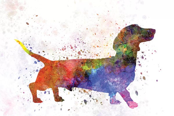 Paul Rommer: Short Haired Dachshund by Paul Rommer