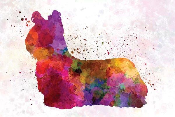 Skye Terriers