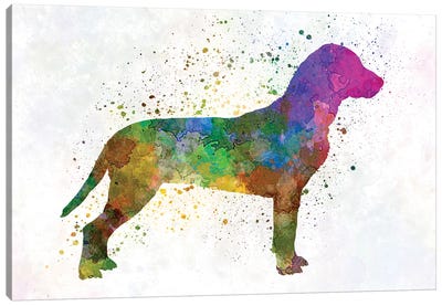 Slovakian Hound In Watercolor Canvas Art Print - Paul Rommer