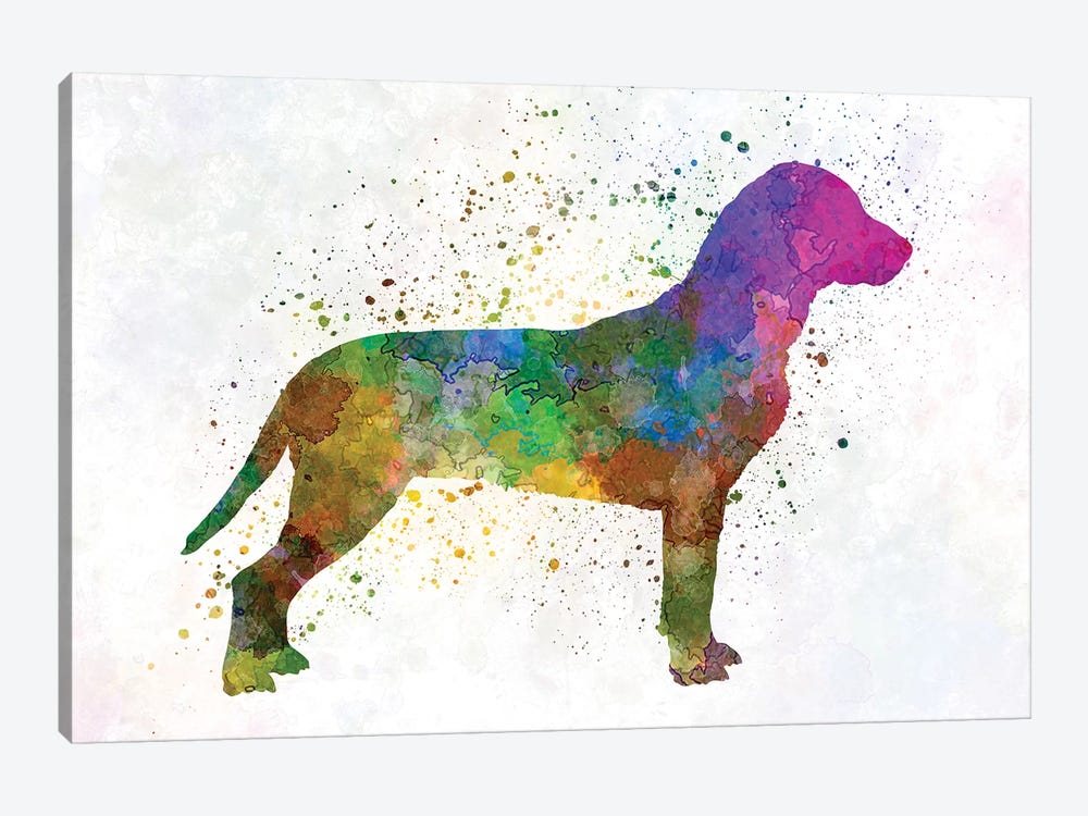 Slovakian Hound In Watercolor by Paul Rommer 1-piece Canvas Print