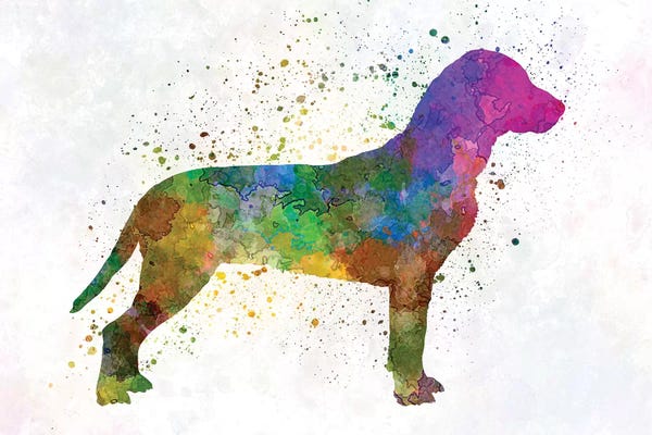 Hounds: Slovakian Hound In Watercolor by Paul Rommer