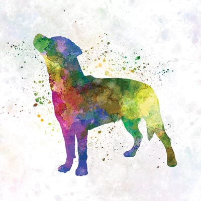 Smalandsstovare In Watercolor by Paul Rommer canvas print