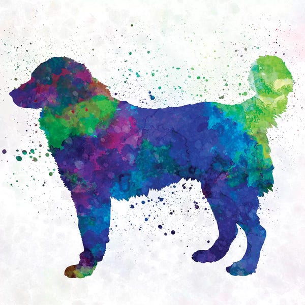 Shepherds (Herding Dogs): Southeastern European Shepherd In Watercolor by Paul Rommer