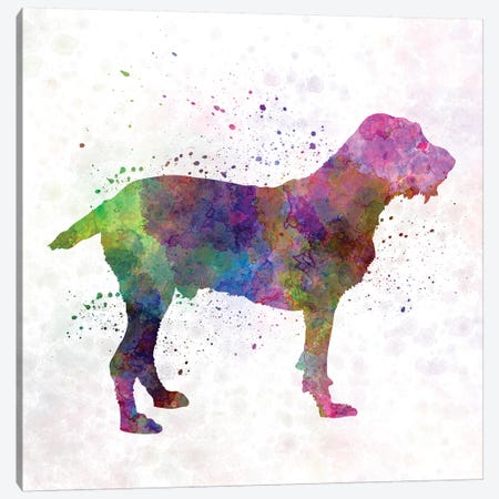 Spinone In Watercolor Canvas Print #PUR675} by Paul Rommer Canvas Artwork