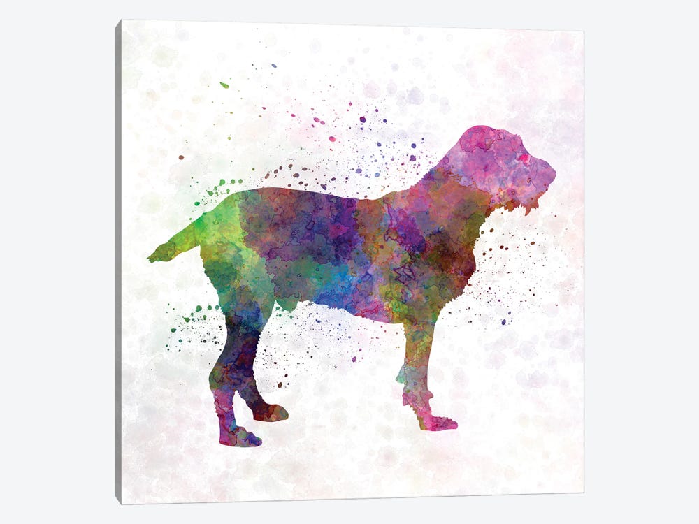 Spinone In Watercolor by Paul Rommer 1-piece Art Print