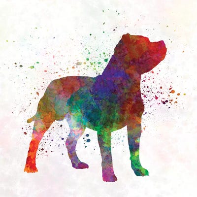 Staffordshire Bull Terrier In Watercolor by Paul Rommer framed canvas print
