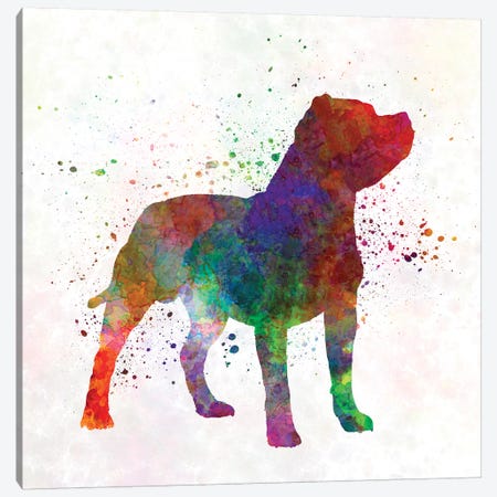 Staffordshire Bull Terrier In Watercolor Canvas Print #PUR676} by Paul Rommer Canvas Wall Art