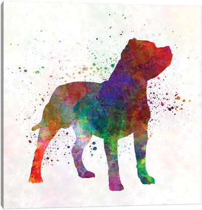 Staffordshire Bull Terrier In Watercolor Canvas Art Print - Pit Bull Art