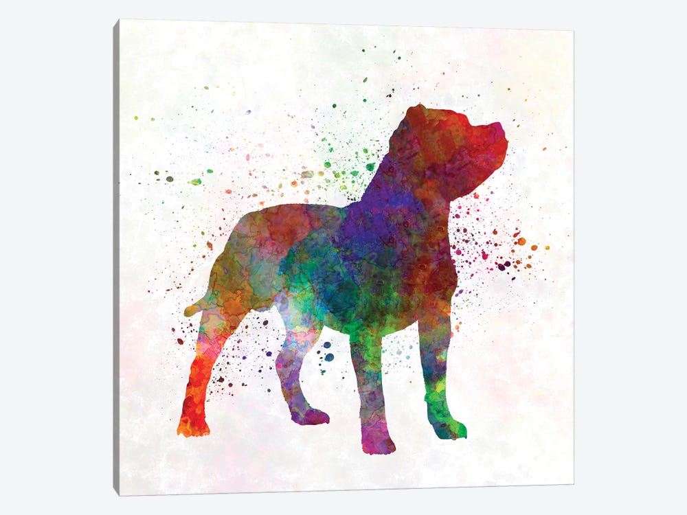 Staffordshire Bull Terrier In Watercolor by Paul Rommer 1-piece Canvas Art