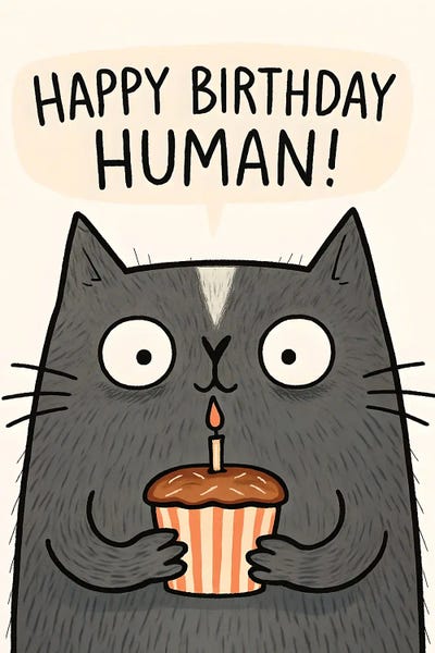 Happy Birthday Human Cat Card
