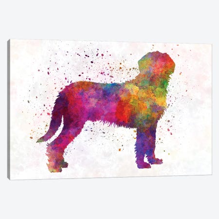 Styrian Coarsehaired Hound In Watercolor Canvas Print #PUR677} by Paul Rommer Canvas Art