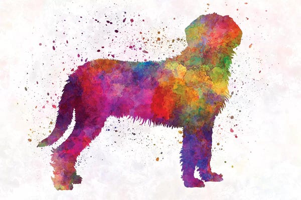 Hounds: Styrian Coarsehaired Hound In Watercolor by Paul Rommer