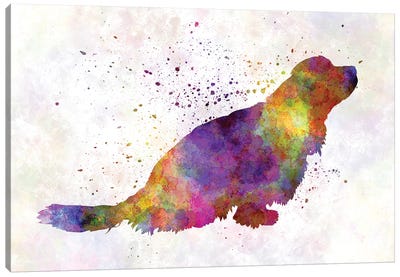Sussex Spaniel In Watercolor Canvas Art Print - Spaniels