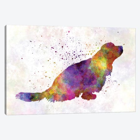 Sussex Spaniel In Watercolor Canvas Print #PUR679} by Paul Rommer Canvas Art Print