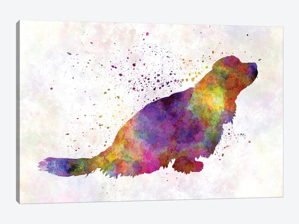 Sussex Spaniel In Watercolor by Paul Rommer 1-piece Canvas Print