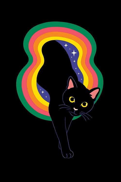 Cat In Black Hole