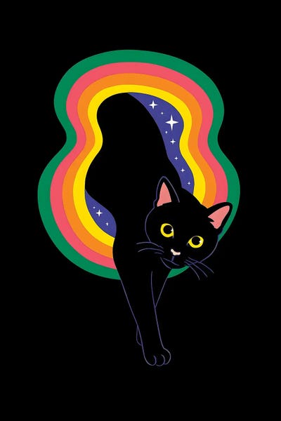 Cat In Black Hole