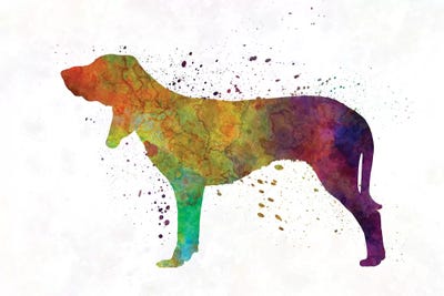 Swiss Hound In Watercolor by Paul Rommer acrylic art print