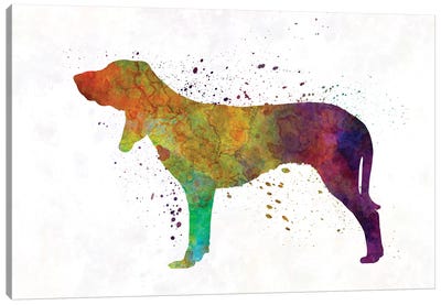 Swiss Hound In Watercolor Canvas Art Print - Paul Rommer