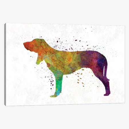 Swiss Hound In Watercolor Canvas Print #PUR689} by Paul Rommer Canvas Artwork
