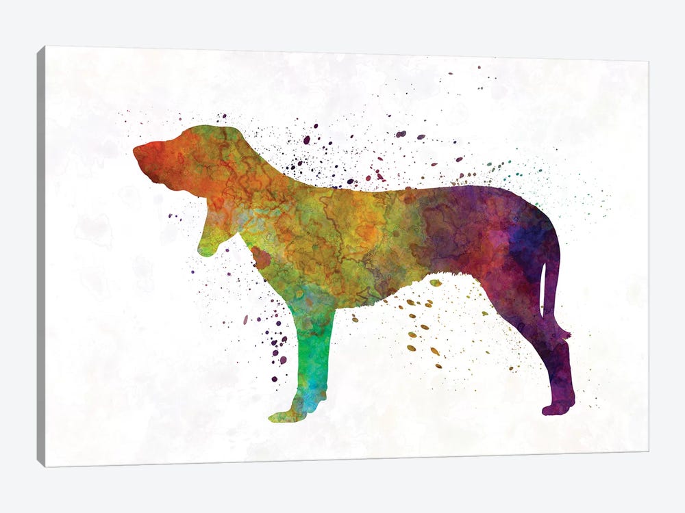 Swiss Hound In Watercolor by Paul Rommer 1-piece Canvas Art