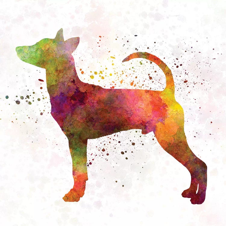 Taiwan Dog In Watercolor