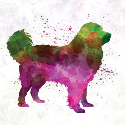 Tatra Shepherd Dog In Watercolor by Paul Rommer canvas print