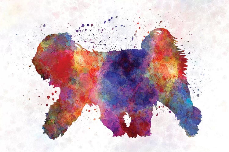 Tibetan Terrier In Watercolor