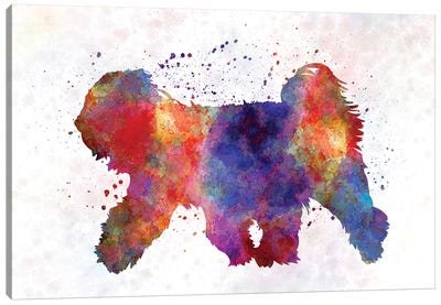 Tibetan Terrier In Watercolor Canvas Art Print