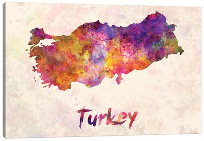 Turkey In Watercolor Canvas Art Print - Paul Rommer