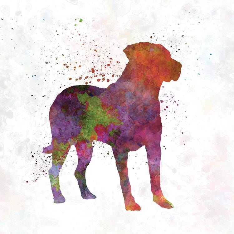 Uruguayan Cimarron In Watercolor