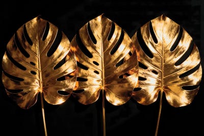 Celery - Canvas Prints: Golden Monstera Leaves Trio by Paul Rommer
