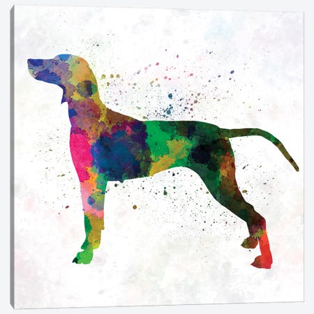 Weimaraner In Watercolor Canvas Print #PUR740} by Paul Rommer Art Print