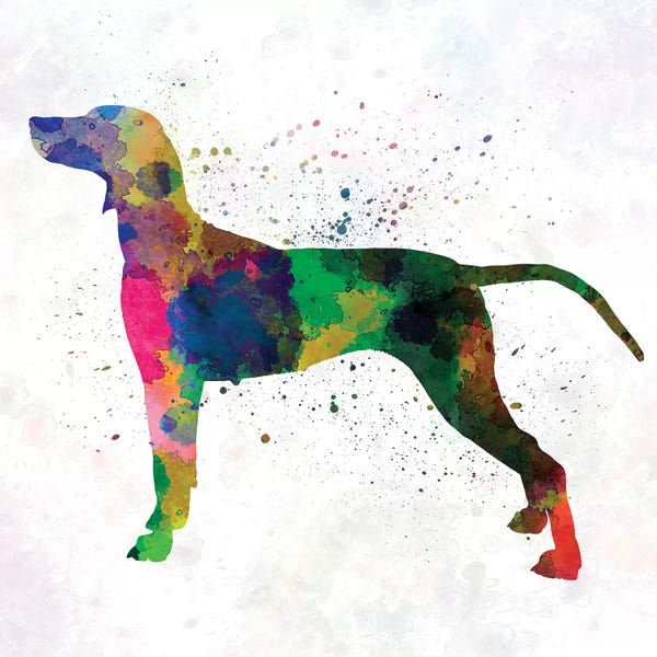 Weimaraners: Weimaraner In Watercolor by Paul Rommer