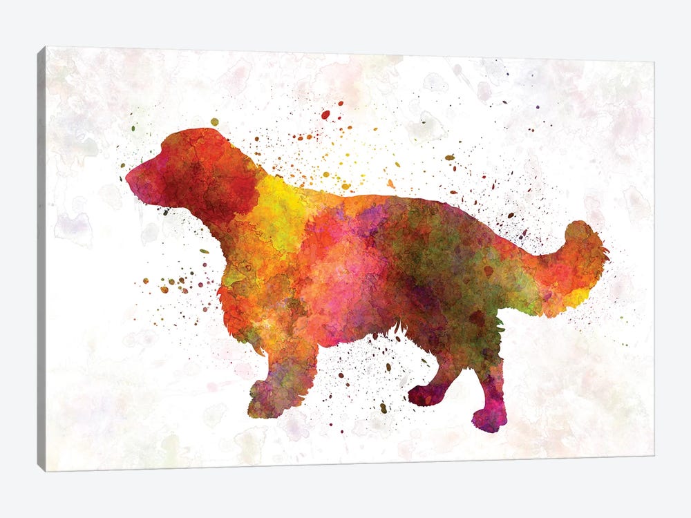 Welsh Springer Spaniel In Watercolor by Paul Rommer 1-piece Canvas Art Print