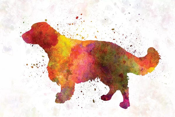 Spaniels: Welsh Springer Spaniel In Watercolor by Paul Rommer