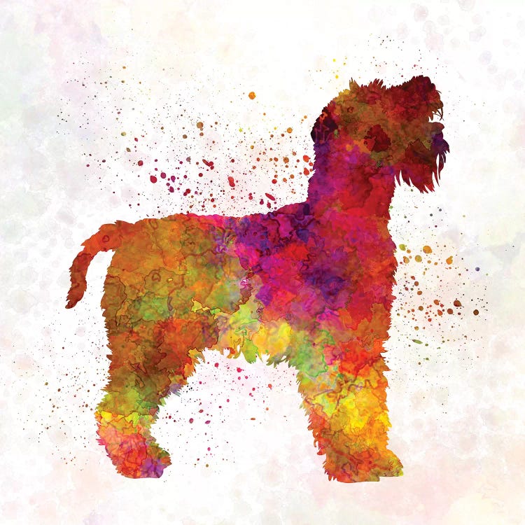 Welsh Terrier In Watercolor by Paul Rommer wall art