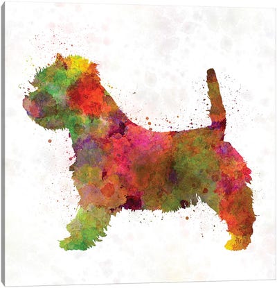 West Highland White Terrier In Watercolor Canvas Art Print - Paul Rommer