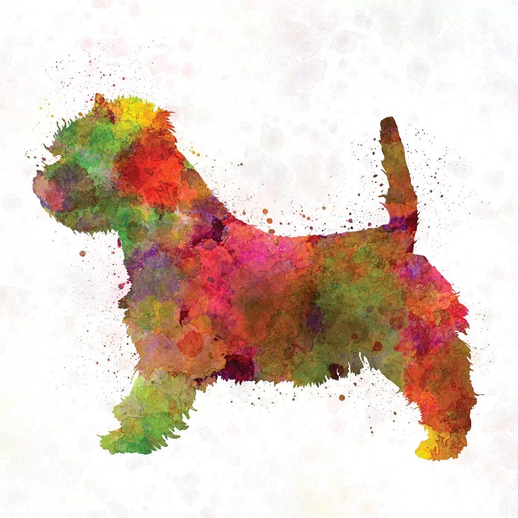 West Highland White Terrier In Watercolor