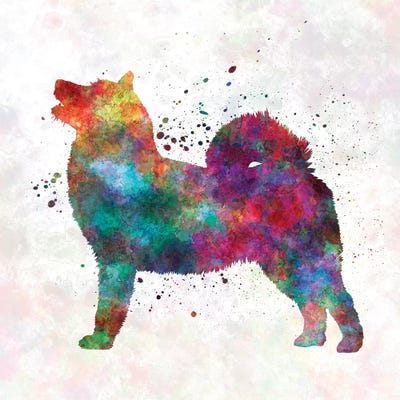 West Siberian Laika In Watercolor by Paul Rommer metal wall art