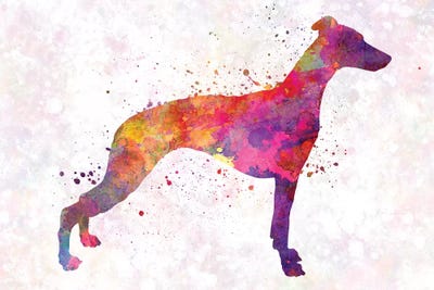 Whippet In Watercolor by Paul Rommer art print
